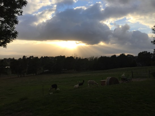 7ED3FB10-6633-434F-A219-B8EFC40ECAC0