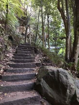 74614812_2457141634564518_9072634649158615040_n