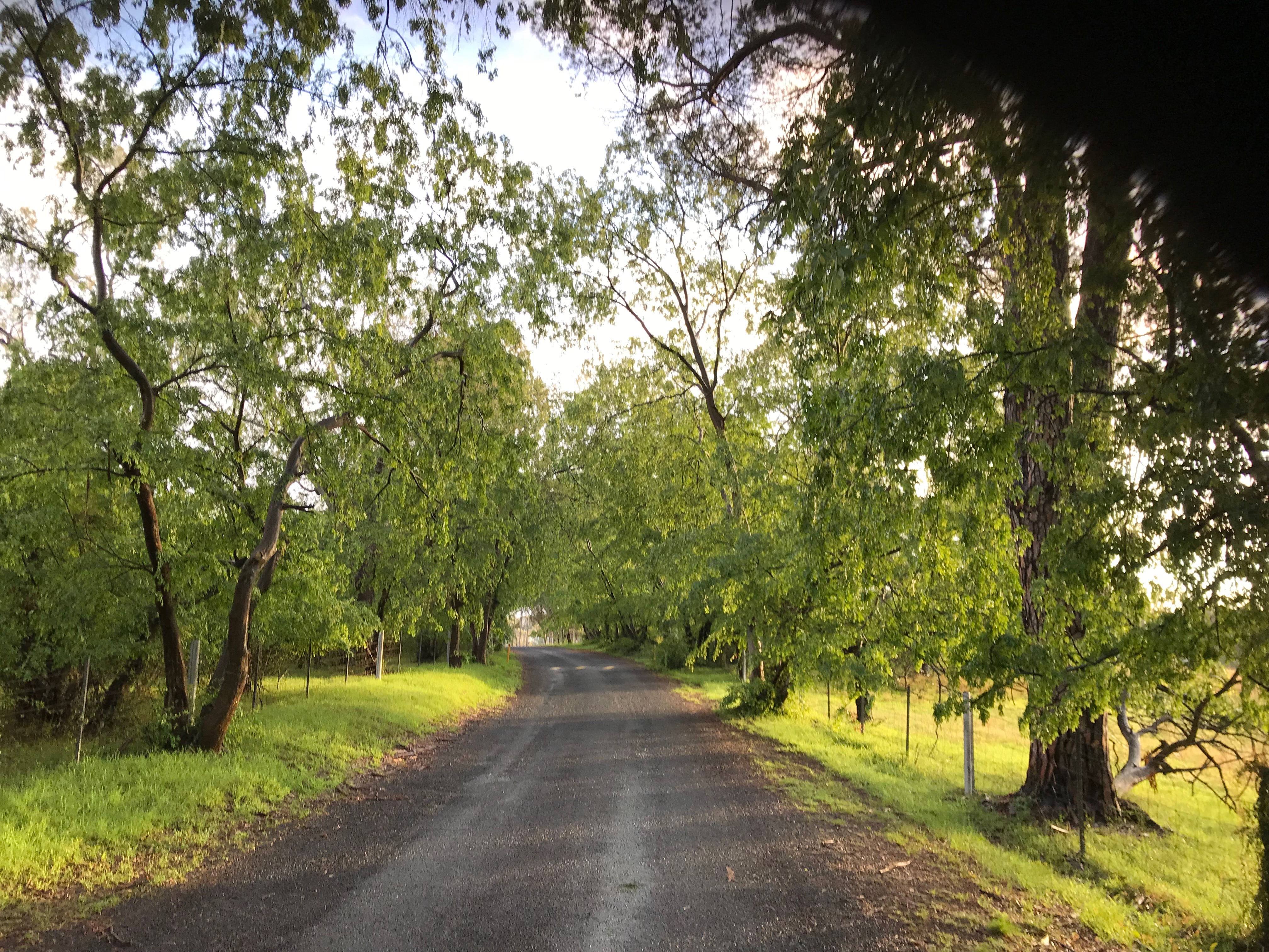 Entrance road at Winbourne